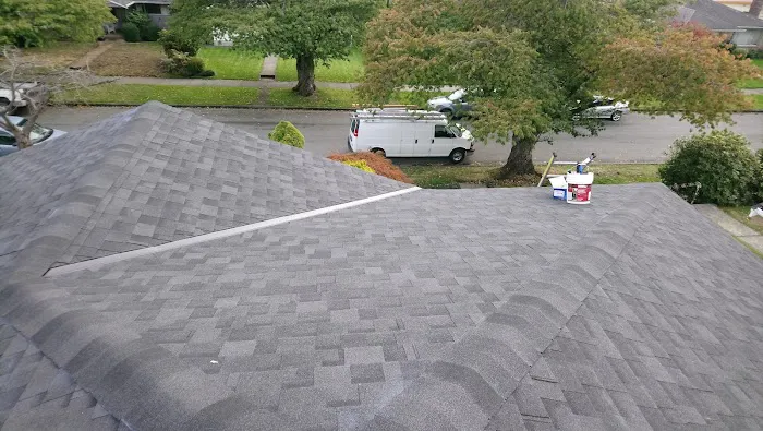 Apis Roofing Ltd Picture 2