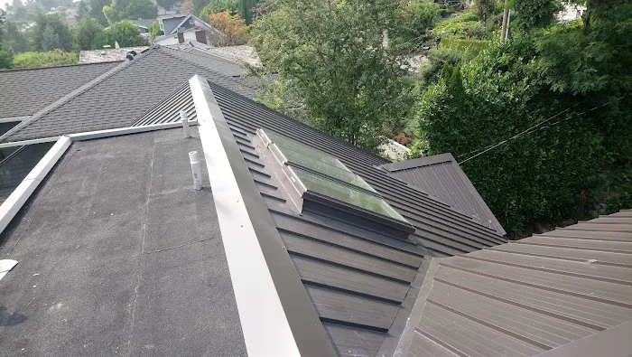 Apis Roofing Ltd Picture 4