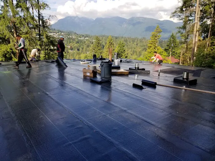 Dulay Roofing Picture 4