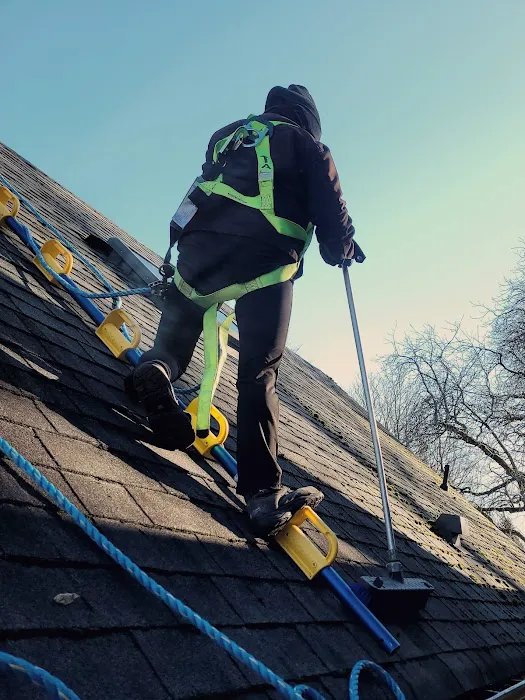 Top Roof Cleaning Picture 1