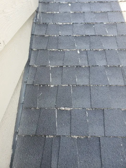 Top Roof Cleaning Picture 9