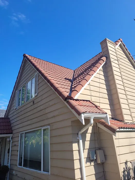Top Roof Cleaning Picture 3