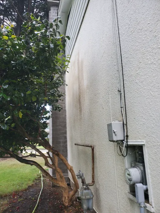Top Roof Cleaning Picture 5