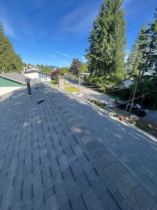 AlphaNova Roofing Inc. Picture 7