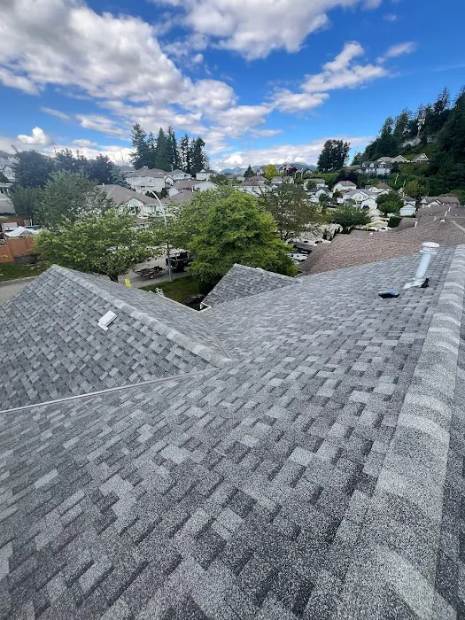 AlphaNova Roofing Inc. Picture 8