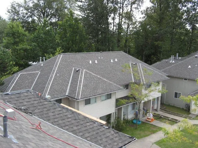 Trimstyle Consulting Inc. Picture 4
