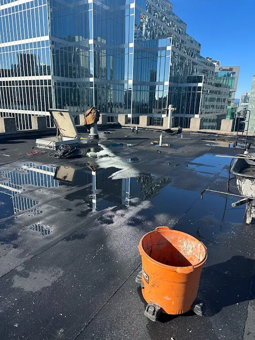GVRD Roofing Inc Picture 5