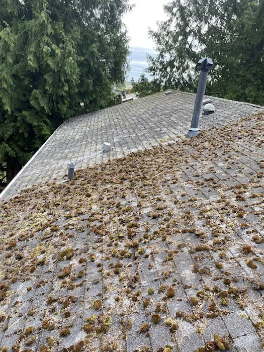 Enviro-Green Moss Removal & Roof Cleaning Picture 4