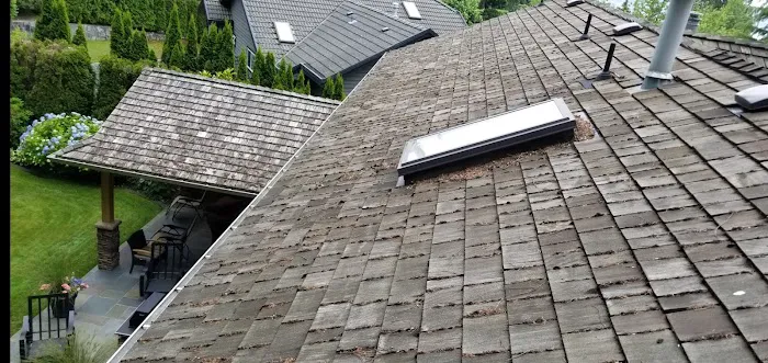 Enviro-Green Moss Removal & Roof Cleaning Picture 2