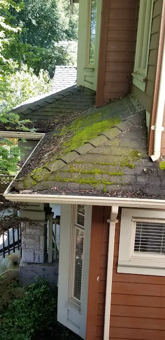 Enviro-Green Moss Removal & Roof Cleaning Picture 1