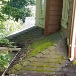 Enviro-Green Moss Removal & Roof Cleaning