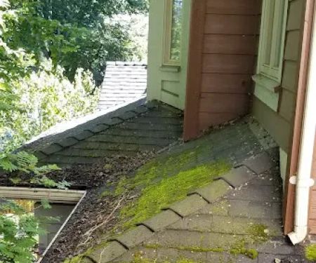 Enviro-Green Moss Removal & Roof Cleaning