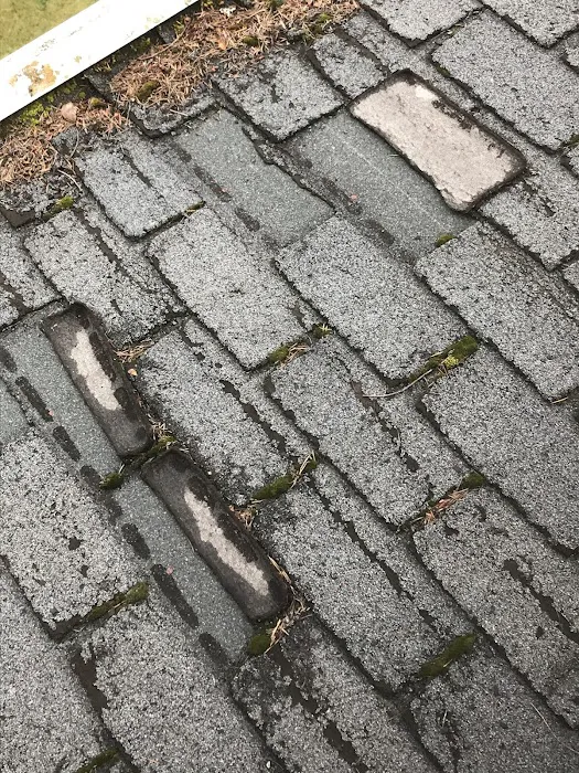 Enviro-Green Moss Removal & Roof Cleaning Picture 8