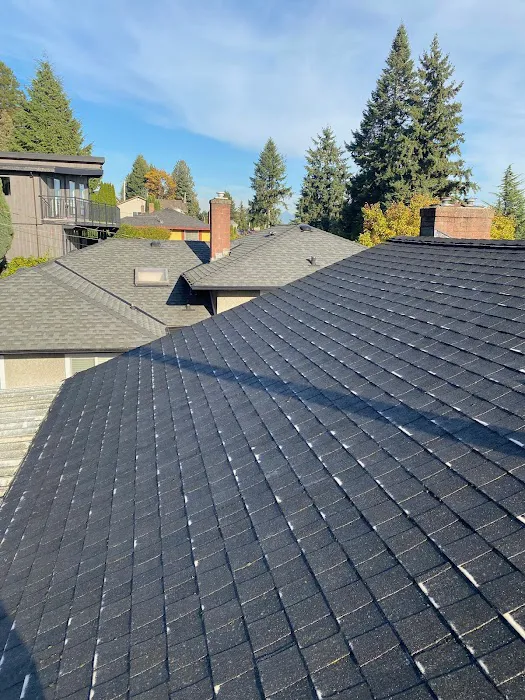 Enviro-Green Moss Removal & Roof Cleaning Picture 5