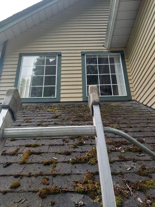 Enviro-Green Moss Removal & Roof Cleaning Picture 9