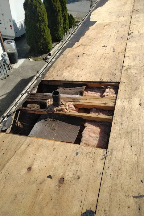 Millwall Roofing Picture 10