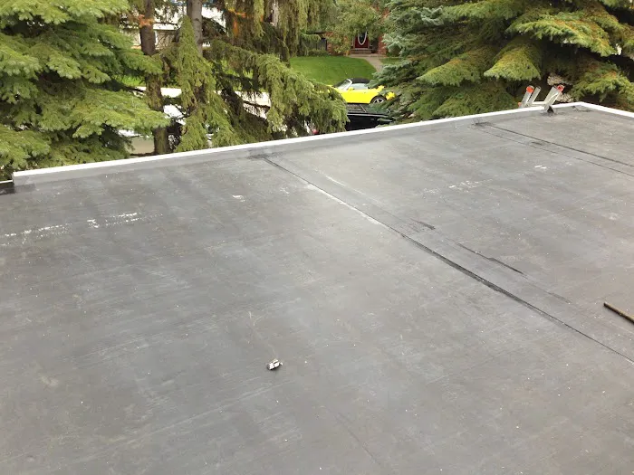 Onyx Exteriors Ltd Picture 6