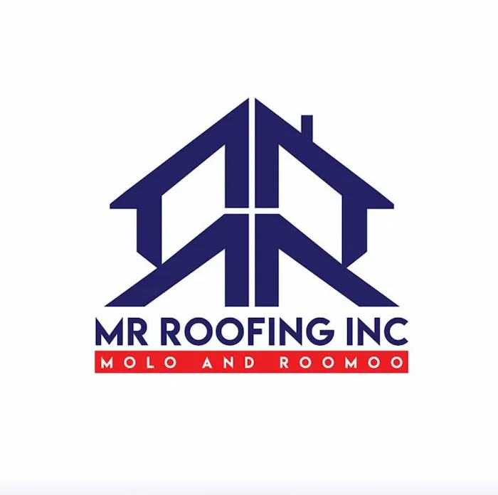 Mr. Roofing Inc Picture 9