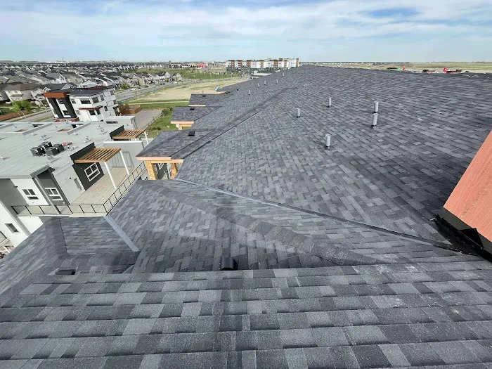 Mr. Roofing Inc Picture 4