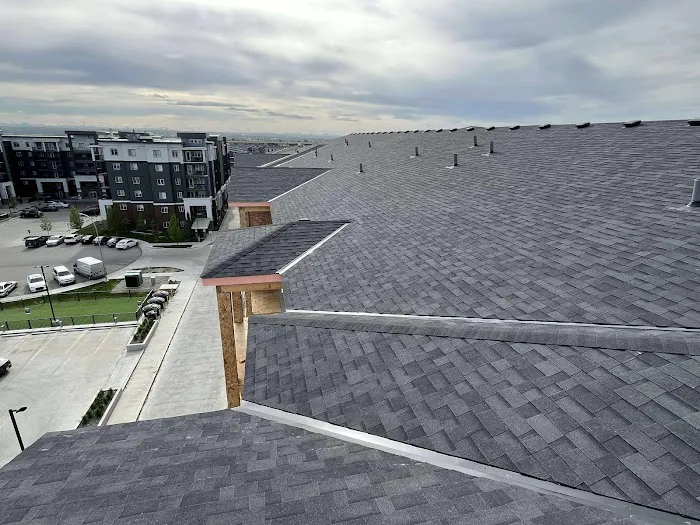 Mr. Roofing Inc Picture 7