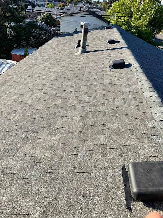 Galaxy Roofing INC Picture 10