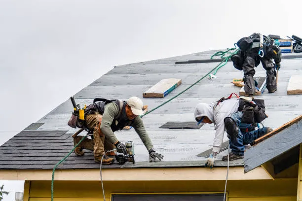 Ebenezer Roofing Picture 4