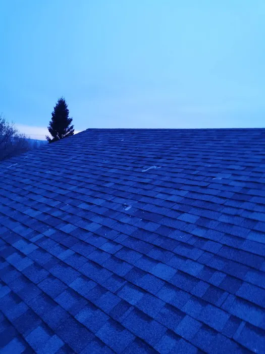 Edmonton Roofing Ltd. Picture 3