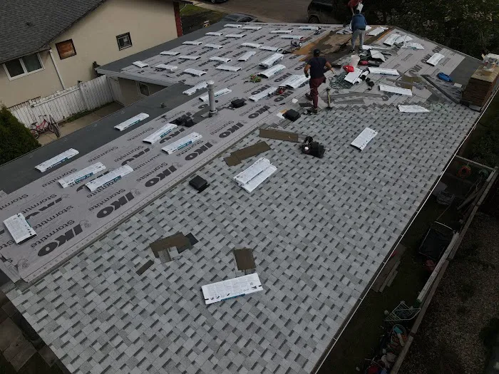 Roomi's Roofing Picture 6
