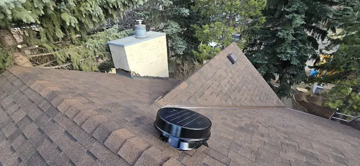 Roomi's Roofing Picture 7