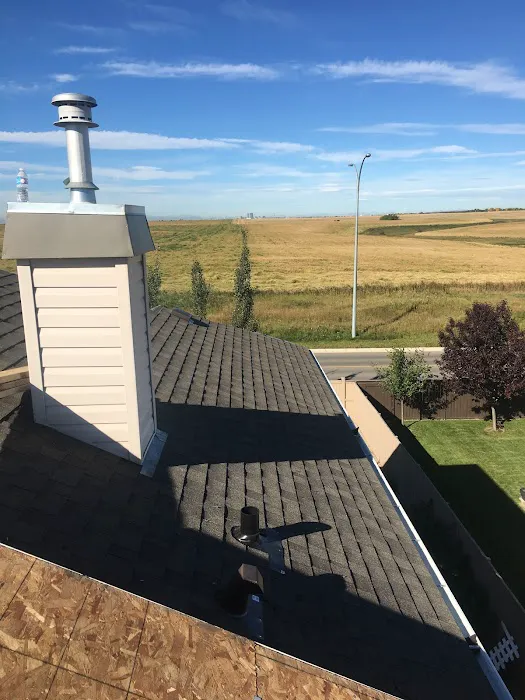 DAL Roofing Picture 2