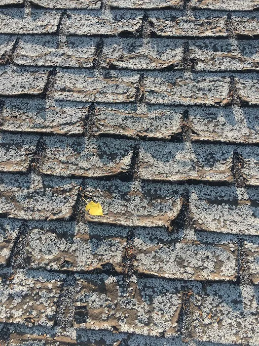 DAL Roofing Picture 3