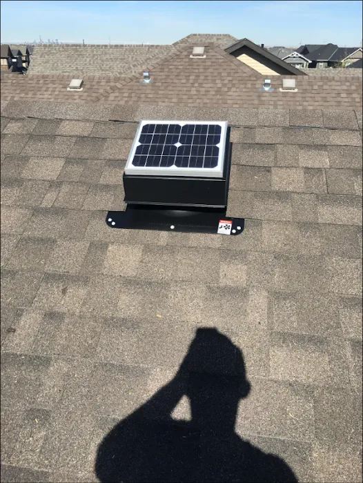 DAL Roofing Picture 9