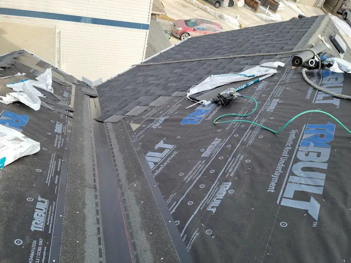 Apple Roofing Picture 4