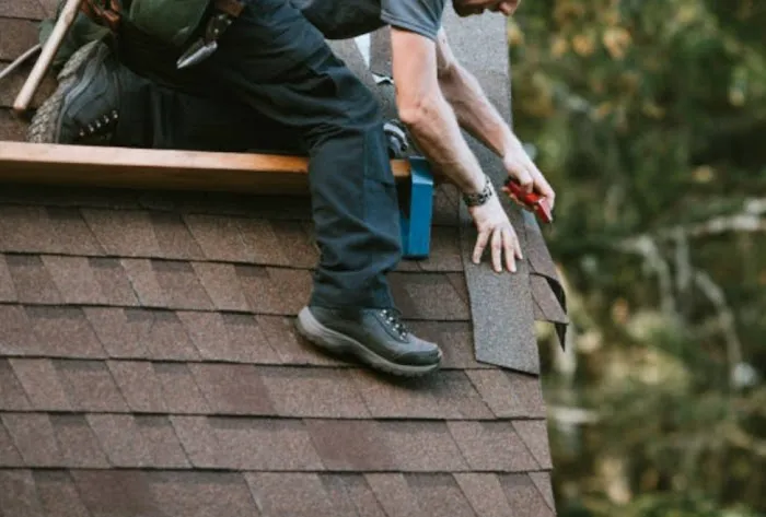 Apple Roofing Picture 6