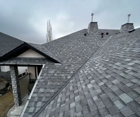 Roofing Professionals