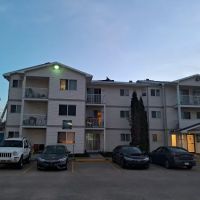 Roofer Don ico
