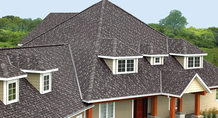 Roofer Don Picture 10