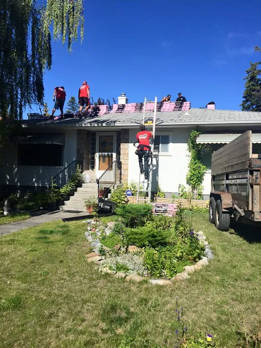 City Boss Residential Roofing Picture 5