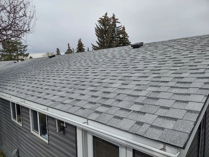 City Boss Residential Roofing Picture 2