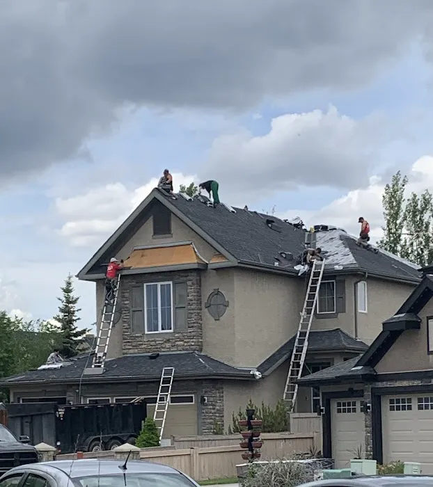 City Boss Residential Roofing Picture 3