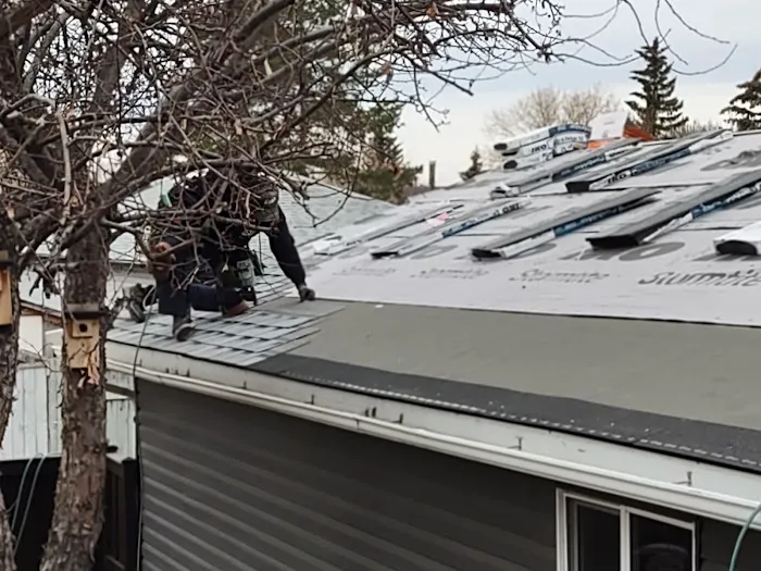 City Boss Residential Roofing Picture 1
