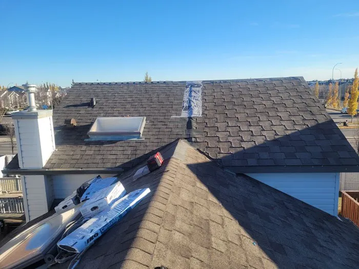 Rayz the Roof Picture 1