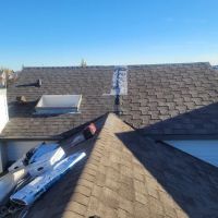 Rayz the Roof ico