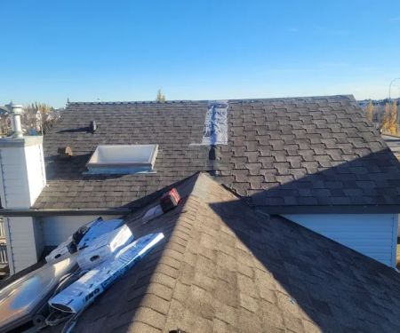 Rayz the Roof