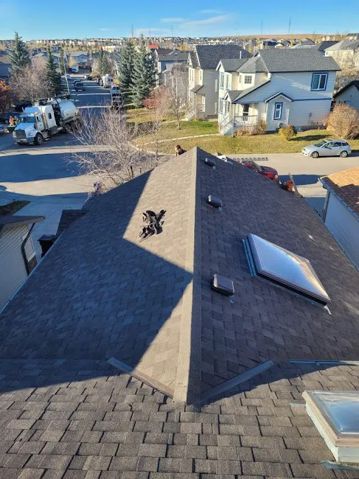 Rayz the Roof Picture 2