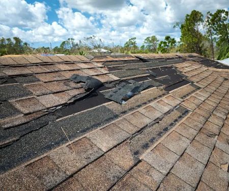 Edmonton Roofing Contractors