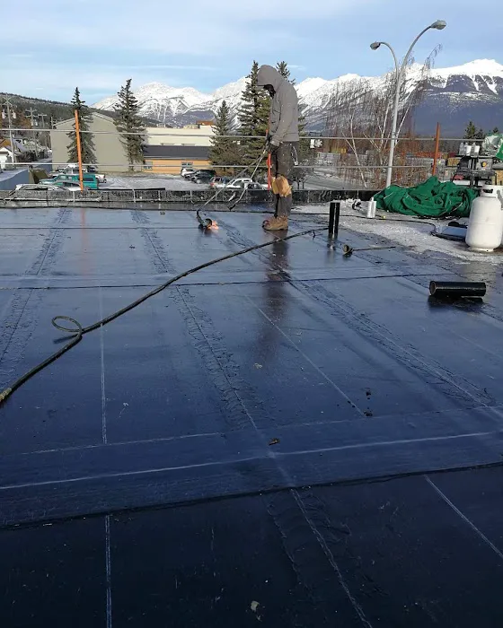 Iron Shield Roofing - Residential Roofing Picture 8