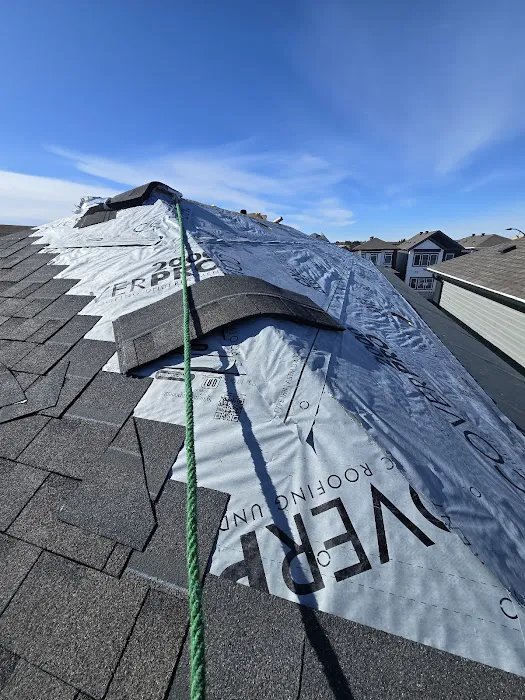 Canadian Style Roofing Picture 8