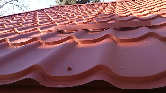 I Roof Alberta Picture 10