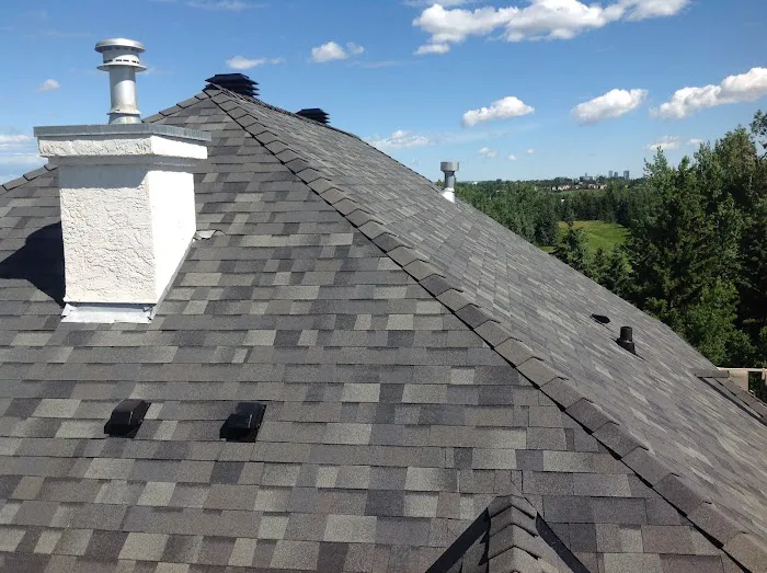 Bricor Roofing Picture 2
